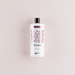 Champú Post Color 1L Color Care Cabello Teñido y Decolorado
