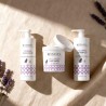 Pack Champú y Crema Lavanda Neutro 1 L. Tassel | Cuidado Capilar