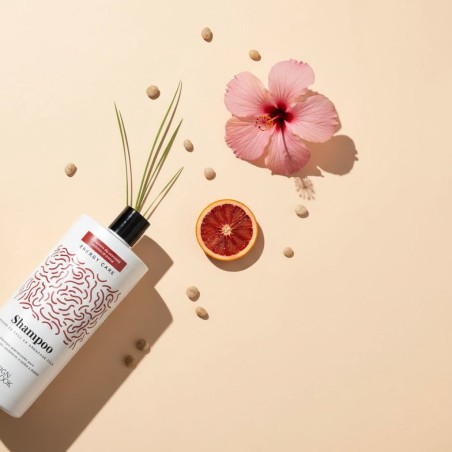Champú Energizante 1L Energy Care Anticaída Cabello Débil