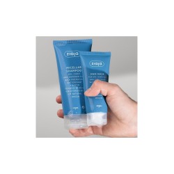 Pack Champú Micelar y Mascarilla Antioxidante Ziaja | Cabello Dañado, Teñido o Rizado