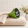 Pack Champú Neutro Melón + Crema Melón + Difusor Silicona Verde Tassel 1L. - Eurostil | Cuidado y Peinado
