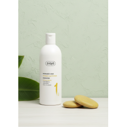 Pack Banana Flower Champú + Acondicionador Líquido ZIAJA | Reparación y Nutrición Capilar